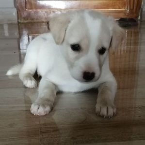 Meet your Posher, Sampath